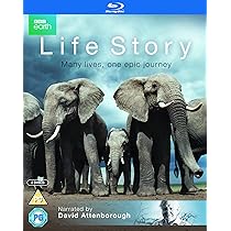 Nature's Great Events [Blu-ray] [Region Free]: Amazon.co.uk: David